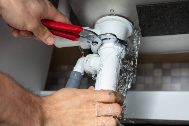 Best Local water damage restoration  in Dexter, MI