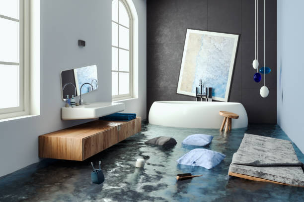 Best Carpet water damage restoration  in Dexter, MI