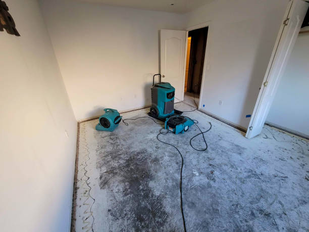 Best Flood damage cleanup  in Dexter, MI