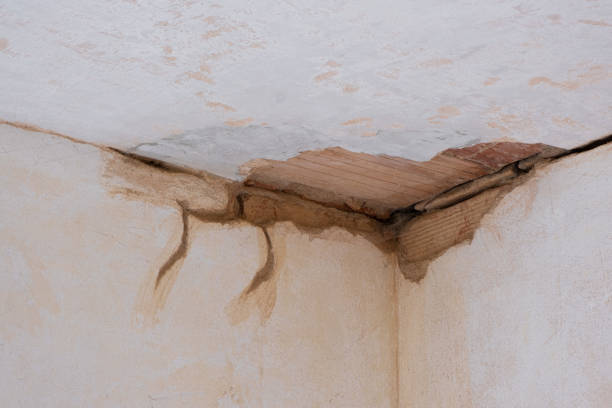 Best Flood restoration services  in Dexter, MI
