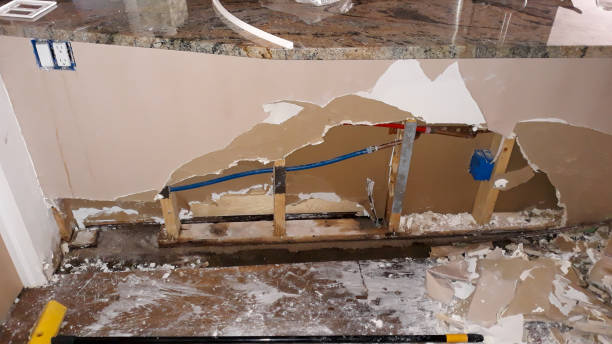 Best 24-hour water damage restoration  in Dexter, MI