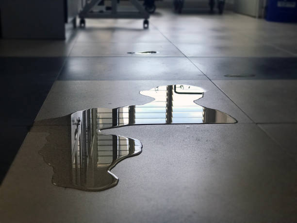 Best Water damage restoration near me  in Dexter, MI