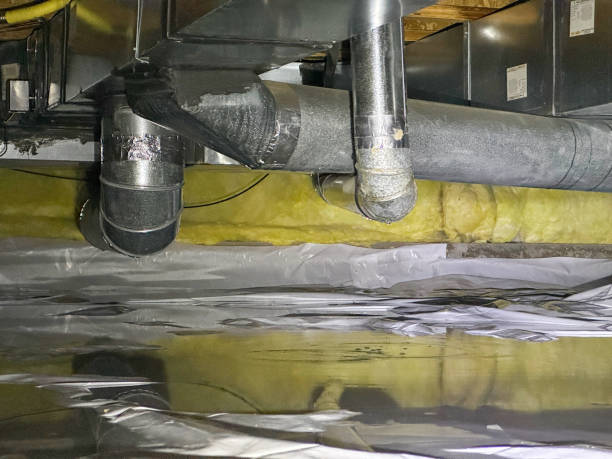 Best Emergency water damage restoration  in Dexter, MI