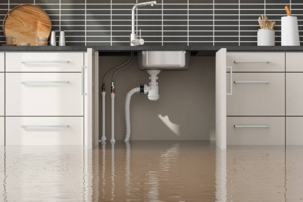 Best Ceiling water damage repair  in Dexter, MI