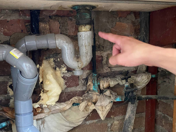 Best Water damage contractors near me  in Dexter, MI