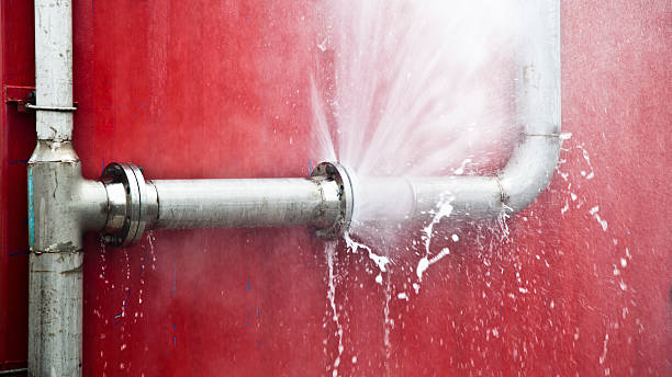 Best Residential water damage restoration  in Dexter, MI
