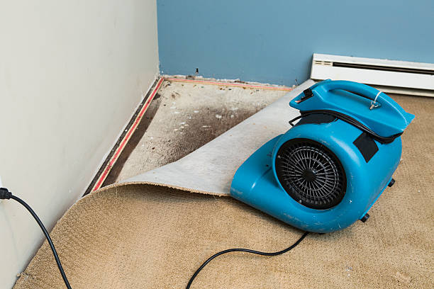 Best Water damage restoration company  in Dexter, MI