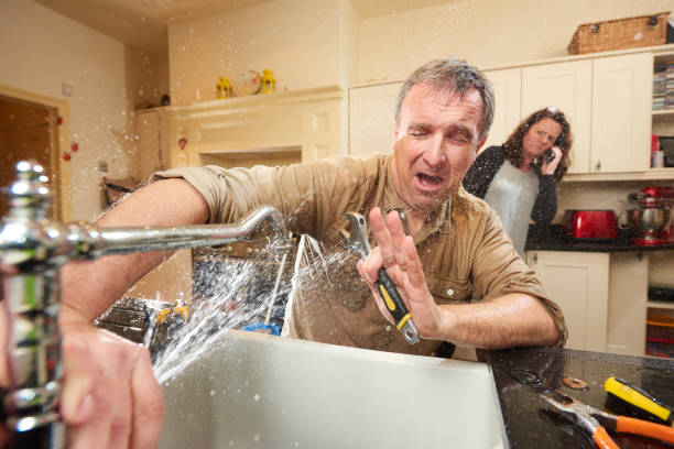 Best Flooded house restoration  in Dexter, MI